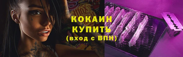 mix Богородицк