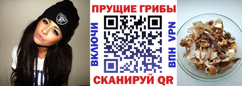 Галлюциногенные грибы Magic Shrooms  Купить  Слободской 